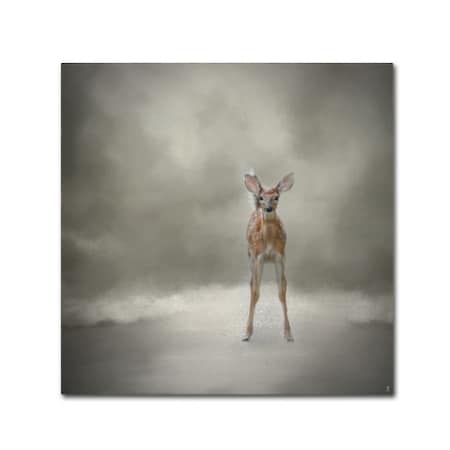 Jai Johnson 'Stand Strong Little Fawn' Canvas Art,14x14